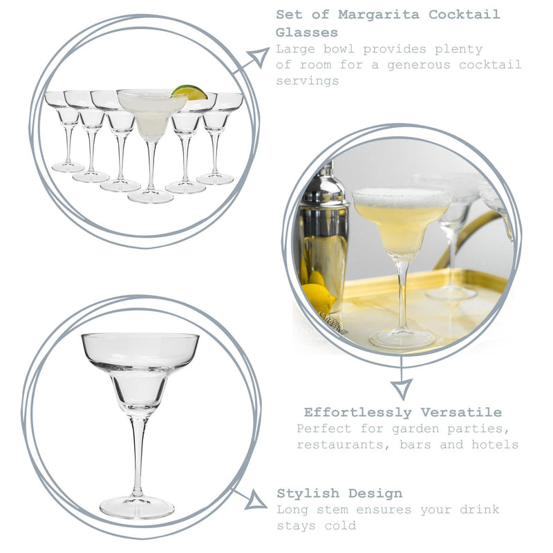 330ml Ypsilon Margarita Glasses - Pack of 12 - By Bormioli Rocco