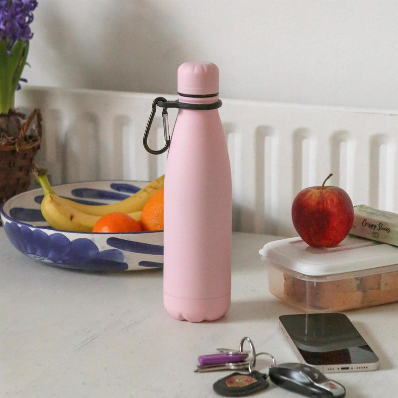 Stainless Steel Water Bottle with Carabiner Clip - 500ml