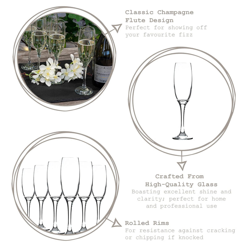 220ml Venue Champagne Flute Glasses - By Lav