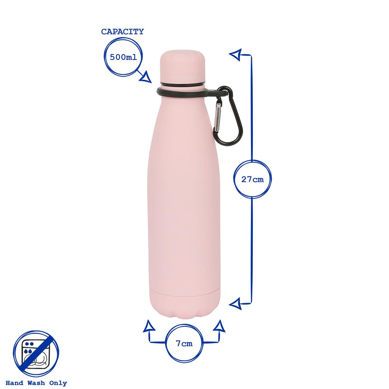 Stainless Steel Water Bottle with Carabiner Clip - 500ml