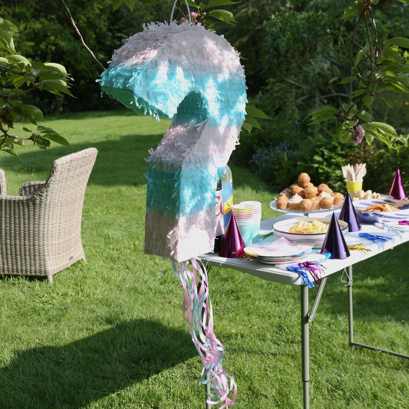 2pc Gender Reveal Pull String Pinata Set with Blindfold - By Fax Potato