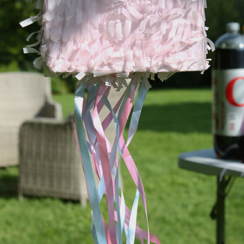 2pc Gender Reveal Pull String Pinata Set with Blindfold - By Fax Potato