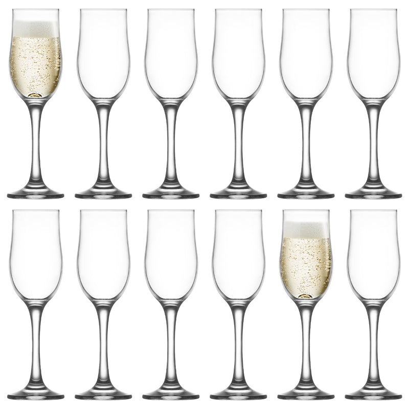 195ml Nevakar Champagne Tulip Glasses - By Lav