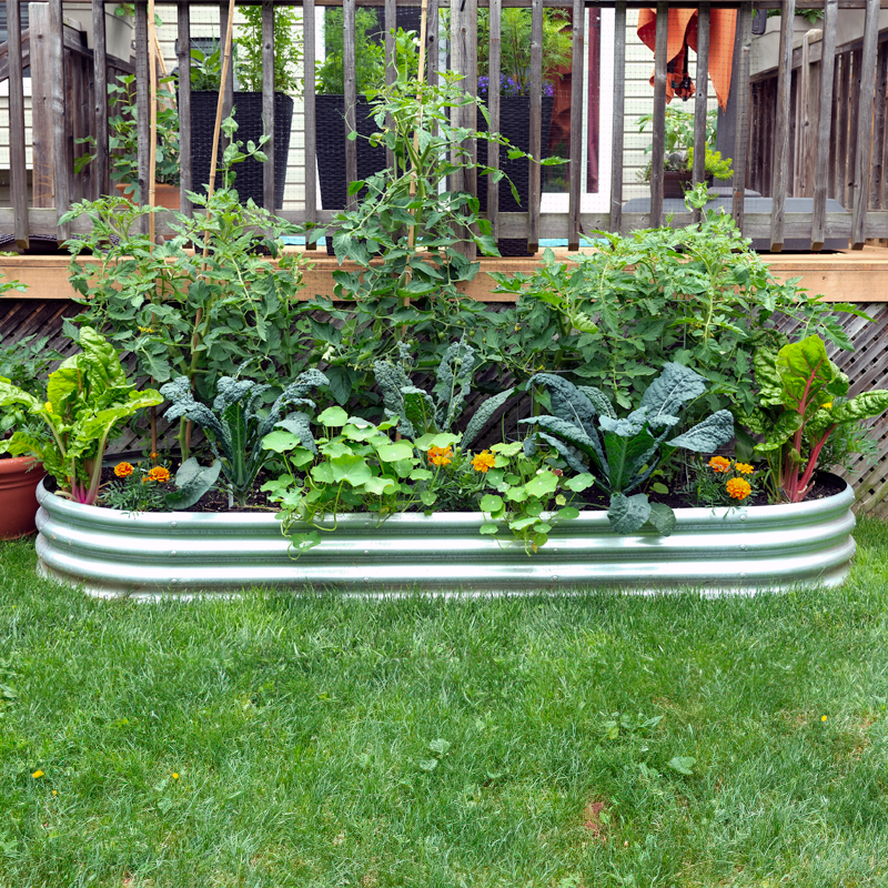 120cm x 60cm Rounded Galvanised Steel Raised Garden Bed - By Harbour Housewares