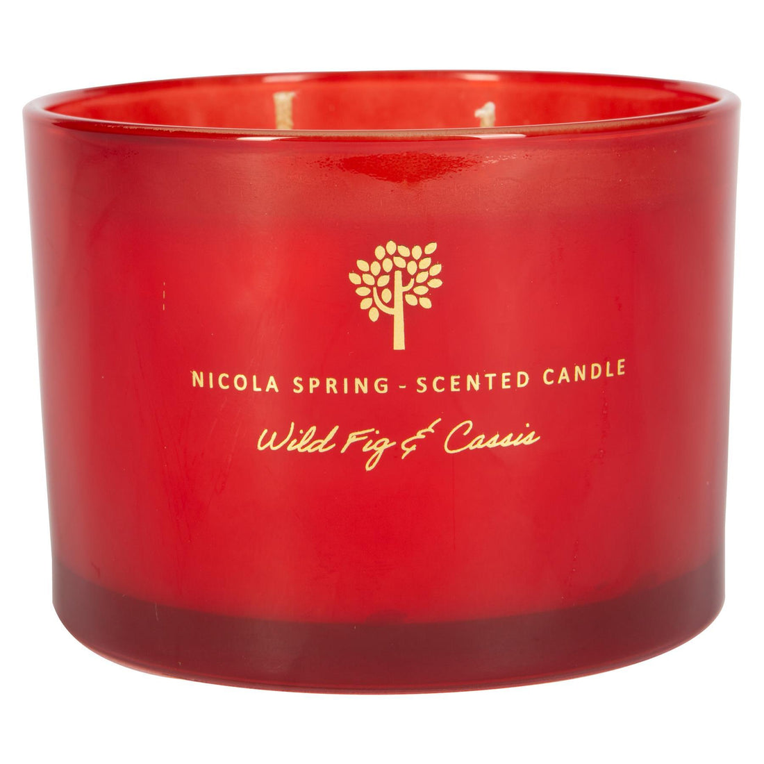 350g Double Wick Wild Fig &amp; Cassis Soy Wax Scented Candle