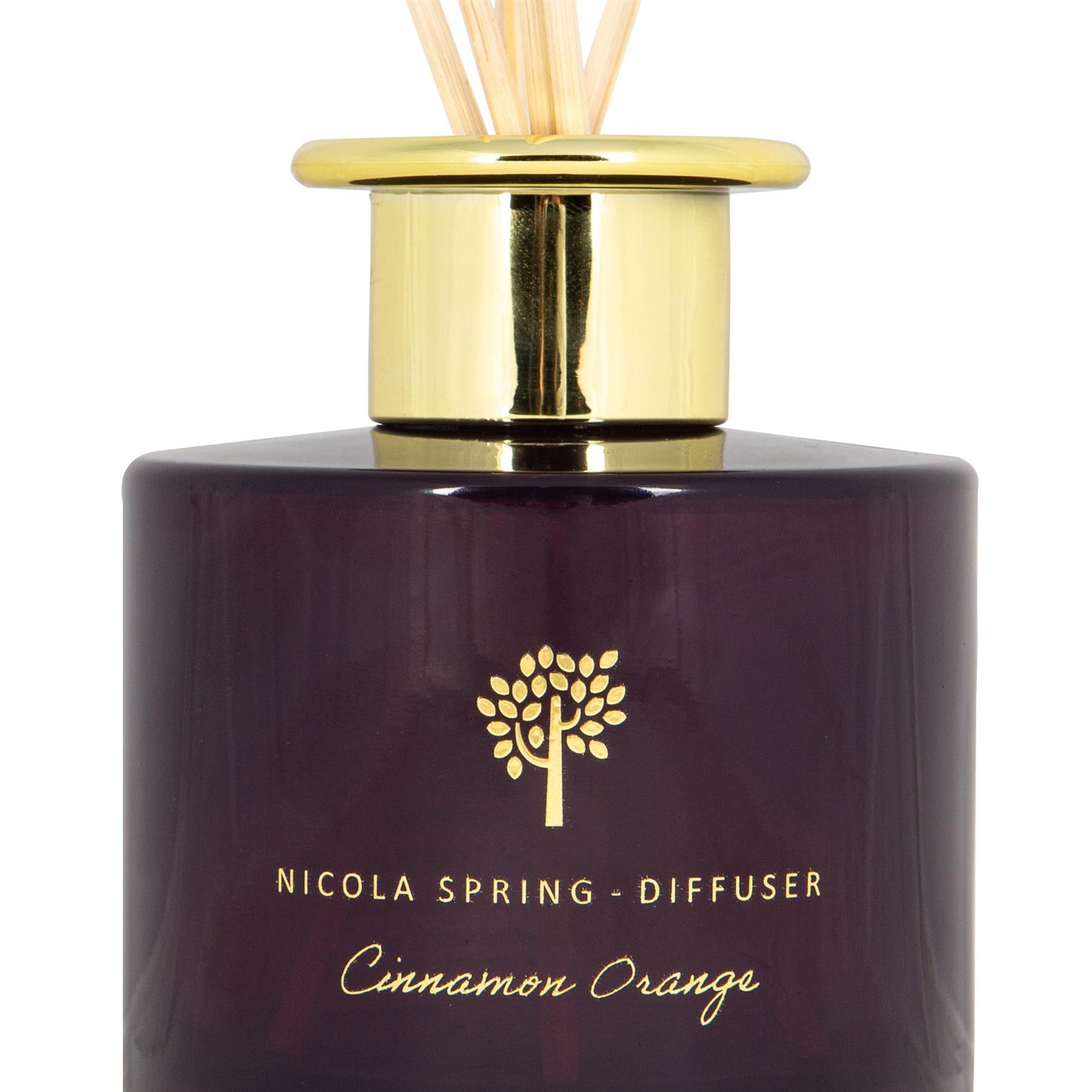 200ml Cinnamon Orange Glass Reed Diffuser